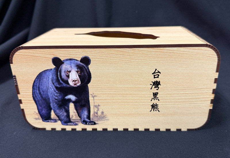 台灣黑熊